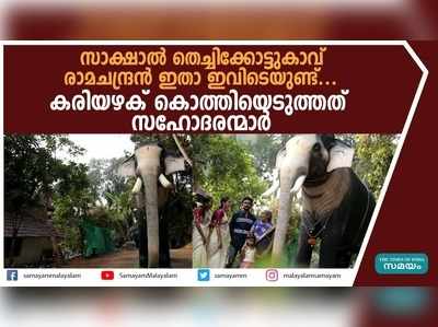 തെച്ചിക്കോട്ടുകാവ് രാമചന്ദ്രന്റെ കരിയഴക് കൊത്തിയെടുത്തത് സഹോദരന്മാർ