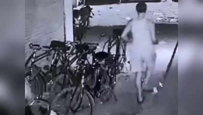 Mumbai Dog Rape News: अब मुंबई के कलीना में कुतिया से रेप! CCTV में तस्वीरें कैद, FIR दर्ज