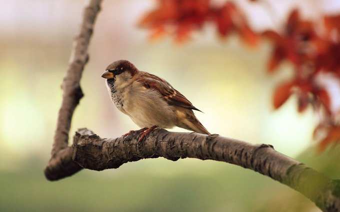 ಈ ಕ್ರಮವು ಗೌರವ ಮತ್ತು ಉದ್ಯೋಗಕ್ಕೆ ಪರಿಹಾರ