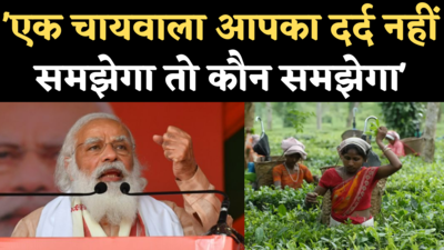 Assam Election News: जब PM मोदी बोले- एक चायवाला आपका दर्द नहीं समझेगा तो कौन समझेगा