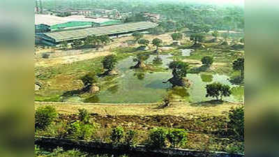 दिल्ली को झीलों का शहर बनाने की तैयारी, द्वारका में तैयार हुई 7 एकड़ की एक नई झील