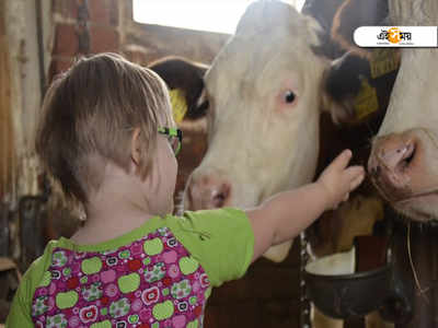 World Down Syndrome Day 2021: ডাউন সিনড্রোম কেন হয়? এর লক্ষণগুলি কী? জেনে নিন...