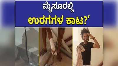 ಬಿಸಿಲ ತಾಪಕ್ಕೆ ಮೈಸೂರಲ್ಲಿ ಬುಸ್‌ ಬುಸ್‌ ದರ್ಶನ!