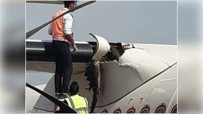 Himachal Pardeseh News: कांगड़ा एयरपोर्ट पर विमान से टकराया पक्षी, एक हिस्सा क्षतिग्रस्त, यात्री सुरक्षित