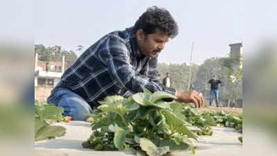Varanasi news: लॉकडाउन का खौफनाक मंजर... छूटी नौकरी... फिर शुरू की खेती... काशी की धरती पर उगा रहे स्ट्रॉबेरी