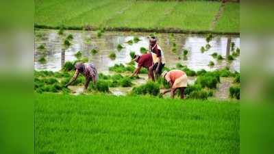 तापमानवाढीमुळे शेती धोक्यात