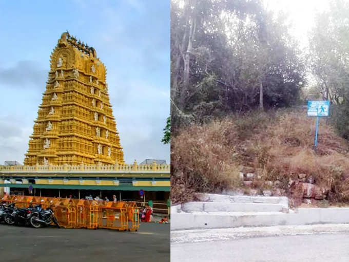 ಮೈಸೂರಿನ ಸುತ್ತಮುತ್ತ ಪ್ರವಾಸಿತಾಣಗಳು