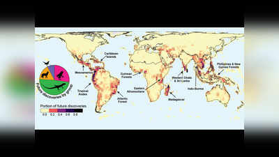 दुनिया के किन कोनों में छिपी हैं 80% जीवों की प्रजातियां? नए मैप से वैज्ञानिकों को मिलेगी मदद