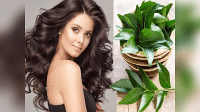 Curry Leaves Hair care: बालों को सफेद होने से रोकता है करी पत्ता, हर जरूरत के लिए बनता है इसका अलग हेयर मास्क