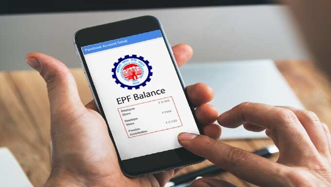 Provident Fund Balance