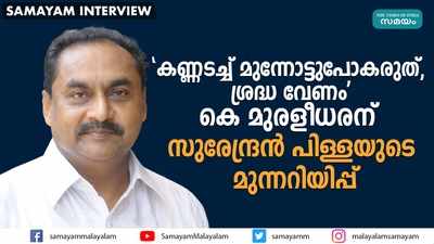 കെ മുരളീധരന്‍ സൂക്ഷിക്കണം;  മുന്നറിയിപ്പ് നല്‍കി സുരേന്ദ്രന്‍ പിള്ള