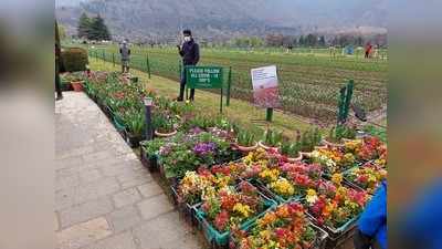 Tulip Garden Reopen: सालभर बाद पर्यटकों के लिए खुला श्रीनगर का ट्यूलिप गार्डन, इस बार दिखेंगे 64 किस्म के 15 लाख फूल, पीएम मोदी की खास अपील
