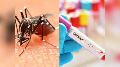 दिल्ली में कोरोना के साथ डेंगू-मलेरिया के मामले भी बढ़े