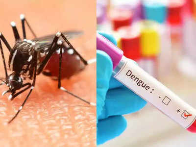 दिल्ली में कोरोना के साथ डेंगू-मलेरिया के मामले भी बढ़े