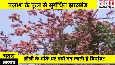 Jharkhand News : झारखंड में पलाश के खूबसूरत फूलों की रंगीनियत, रंग-गुलाल से लेकर दवा तक में इस्तेमाल