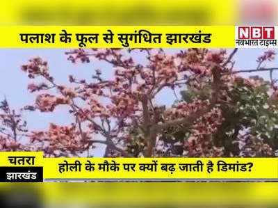 Jharkhand News : झारखंड में पलाश के खूबसूरत फूलों की रंगीनियत, रंग-गुलाल से लेकर दवा तक में इस्तेमाल