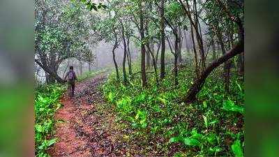 Gadchiroli encounter : खोब्रामेंढा जंगलात चकमकीत ५ माओवादी ठार