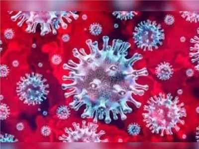 Rajasthan news : होली पर कोरोना का कोहराम , संक्रमितों की संख्या 900 के हुई पार, जोधपुर में सर्वाधिक संक्रमित