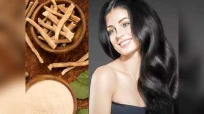 Hair Growth Tips या आयुर्वेदिक औषधामुळे केसांची होईल वाढ, जाणून घ्या वापर करण्याची योग्य पद्धत