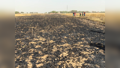 मिर्जापुर में आग लगने से 20 बीघे से ज्यादा गेंहू की फसल जलकर राख, शॉर्टसर्किट बनी वजह