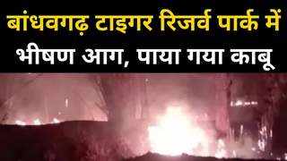 बांधवगढ़ टाइगर रिजर्व पार्क में भीषण आग, तीन दिन बाद पाया गया काबू