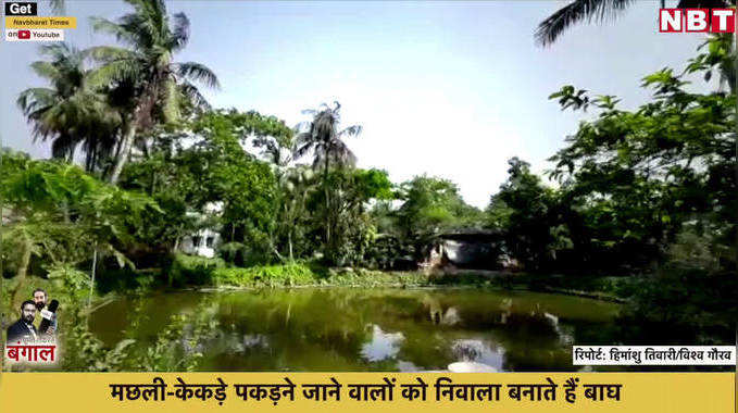 West Bengal Election 2021: सुंदरबन की खूबसूरती के बीच एक गांव, नाम- विधवापल्ली