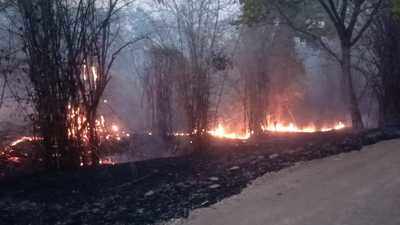મધ્યપ્રદેશઃ બાંધવગઢ ટાઇગર રિઝર્વના જંગલોમાં ભીષણ આગ, વન્યજીવો પર મોટો ખતરો