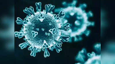 102 दिनों में 2 रिपोर्ट में कोरोना पॉजिटिव और एक में नेगेटिव पाया जाना दोबारा संक्रमण है: अध्ययन