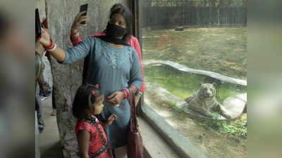 Delhi Zoo Open:  दिल्ली चिड़ियाघर खुलते ही पर्यटकों की दिखी चहल-पहल