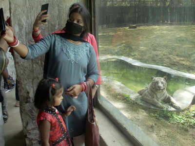 Delhi Zoo Open:  दिल्ली चिड़ियाघर खुलते ही पर्यटकों की दिखी चहल-पहल