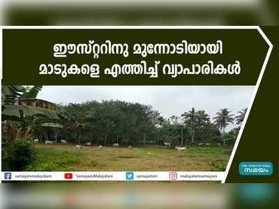 ഈസ്റ്ററിനു മുന്നോടിയായി മാടുകളെ എത്തിച്ച് വ്യാപാരികൾ 