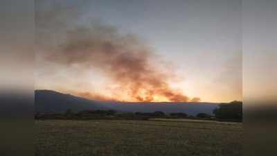 Mirzapur News: मिर्जापुर के जंगल में लगी आग बड़े इलाके में फैली, जंगली जीवों पर मंडराया खतरा