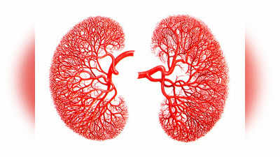 വൃക്ക കേടാകാതിരിയ്ക്കാന്‍ കരുതല്‍ വേണം