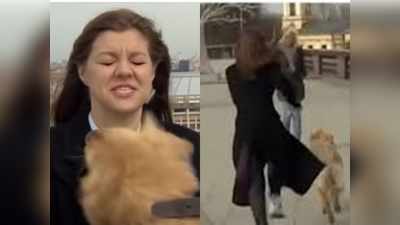 लाइव रिपोर्टिंग के दौरान टीवी रिपोर्टर पर कुत्ते ने किया हमला, सोशल मीडिया पर वायरल हुआ वीडियो