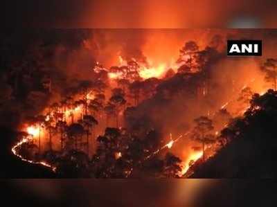 ఉత్తరాఖండ్‌లో కార్చిచ్చు .. నలుగురు సహా ఏడు మూగజీవాలు సజీవదహనం