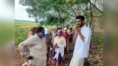 മാവേലിക്കര നിയമസഭാ മണ്ഡലം