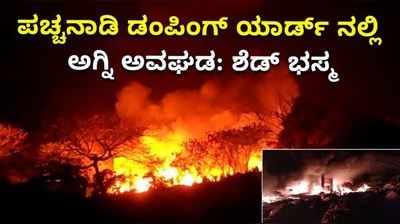 ಪಚ್ಚನಾಡಿ ಡಂಪಿಂಗ್ ಯಾರ್ಡ್ನಲ್ಲಿ ಅಗ್ನಿ ಅವಘಡ- ಶೆಡ್ ಭಸ್ಮ