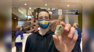 Dinosaur Tooth Discovered: घूमने गया था 8वीं क्लास का बच्चा, कर डाली 6 करोड़ साल पहले रहे डायनासोर के दांत की खोज