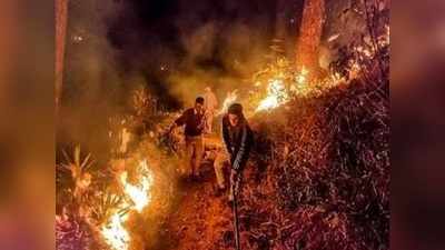 Uttarakhand Forest Fire: बारिश आने तक आग लील सकती है उत्‍तराखंड के 10 पर्सेंट जंगल, एक्‍सपर्ट बोले- 2016 से भी खराब हो सकते हैं हालात