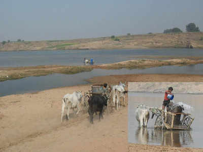 Bundelkhand Water Crisis: बुंदेलखंड तेरी यही कहानी! अनाज ढोने वाली बैलगाड़ी...केन नदी से लाद रही पीने का पानी