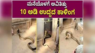 ಶಿರಸಿ: ಮನೆಯೊಳಗೆ ಅವಿತಿದ್ದ ಬೃಹದಾಕಾರದ ಕಾಳಿಂಗ ಸರ್ಪ ರಕ್ಷಣೆ!