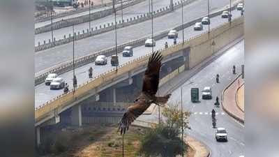 Delhi-Meerut expressway: मैप लगाकर DME पर सफर करने वाले मेरठ की जगह पहुंच रहे हापुड़, जानें क्या है कारण