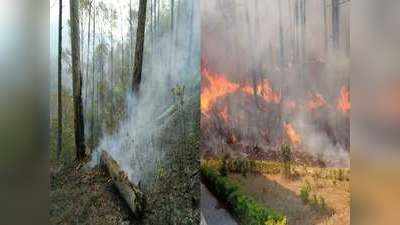 Uttarakhand News: उत्तराखंड में आंधी-बारिश से धधकते जंगलों को मिली राहत, आग की घटनाओं में आई कमी