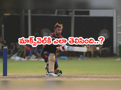 Glenn Maxwell వేలంలో చెన్నై, బెంగళూరు మధ్య పోటీని ఊహించాడా..?