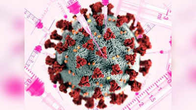 Coronavirus: नगरमध्ये एकाच शववाहिकेत कोंबले सहा मृतदेह, स्मशानातही रांग