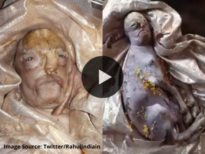 Viral video: மனித முகத்துடன் பிறந்த ஆட்டுக்குட்டி!