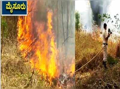 ಮೈಸೂರಿನ ಕುಕ್ಕರಹಳ್ಳಿ ಕೆರೆ ಆವರಣದಲ್ಲಿ ಆಕಸ್ಮಿಕ ಬೆಂಕಿ, ಮರಗಿಡಗಳು ಸುಟ್ಟು ಭಸ್ಮ!