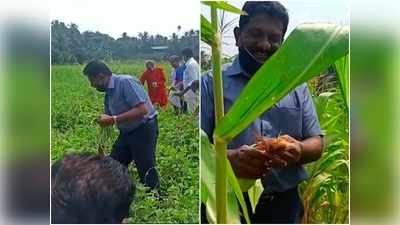 നൂറുമേനി പച്ചക്കറി വിളയിച്ച് ഒരു അഭിഭാഷകൻ; വിളവെടുത്തത് ജില്ലാ ജഡ്ജി, വീഡിയോ കാണാം