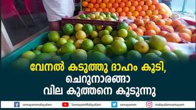 വേനൽ കടുത്തു; ദാഹം കൂടി, ചെറുനാരങ്ങാ വില കുത്തനെ കൂടുന്നു