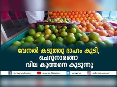 വേനൽ കടുത്തു; ദാഹം കൂടി, ചെറുനാരങ്ങാ വില കുത്തനെ കൂടുന്നു